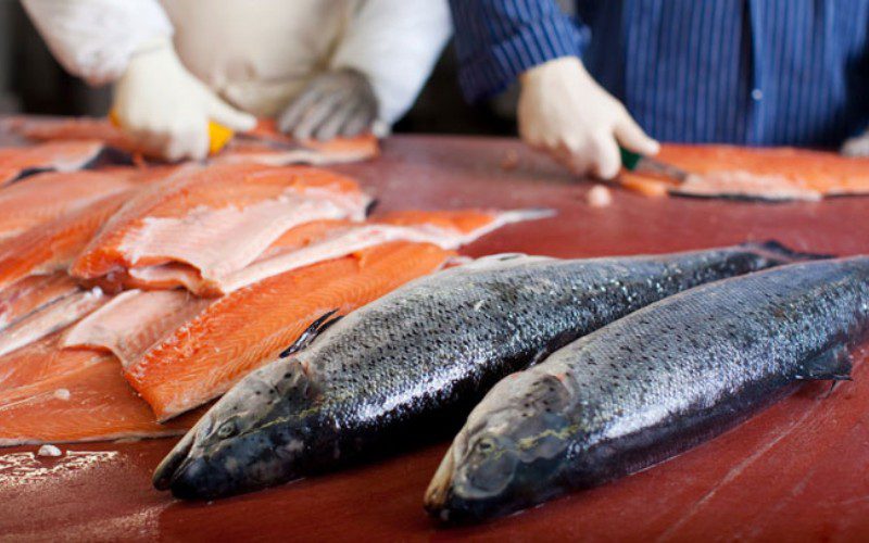 Giá cá hồi phụ thuộc vào nhiều yếu tố khác nhau