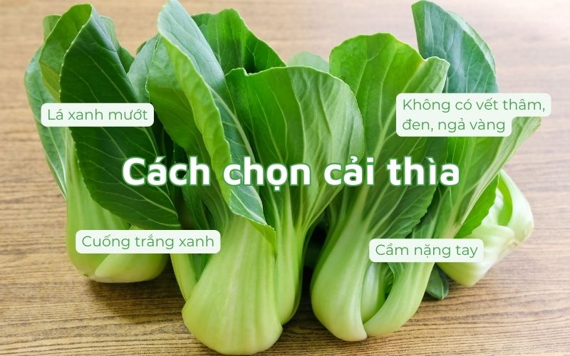 Lá xanh mướt, cuống trắng xanh, nặng tay: Ba tiêu chí vàng để chọn cải thìa tươi ngon