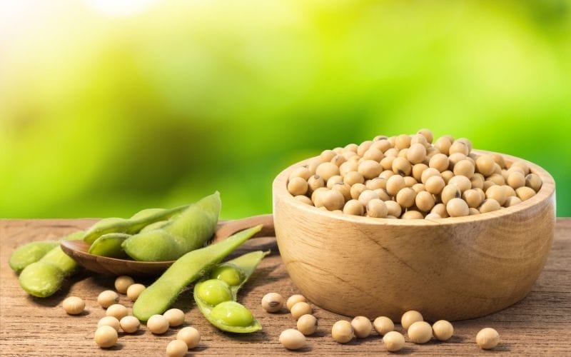 Giá đậu nành giảm khi đồng USD tăng do tác động tỷ giá hối đoái