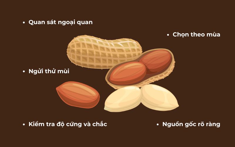 Đậu phộng ngon có vỏ màu nâu tự nhiên, chắc chắn và mùi thơm nhẹ đặc trưng