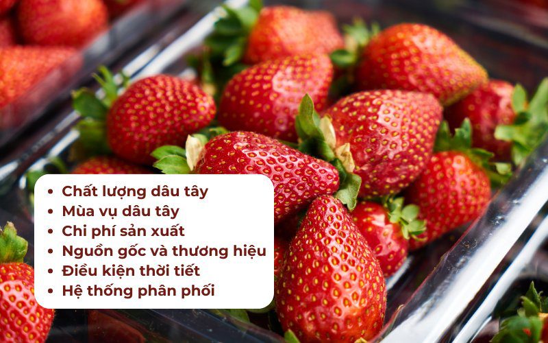 Những yếu tố chính ảnh hưởng đến giá bán dâu tây
