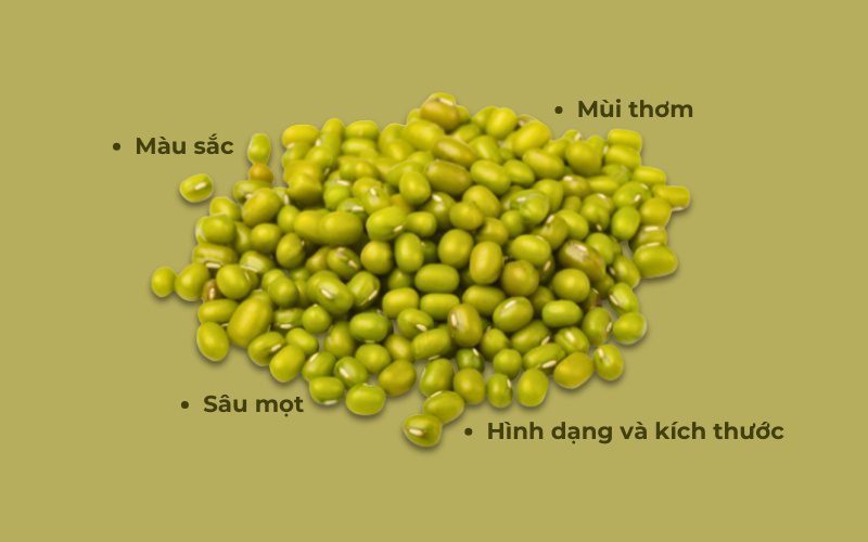 Những gợi ý giúp mua đậu xanh chất lượng