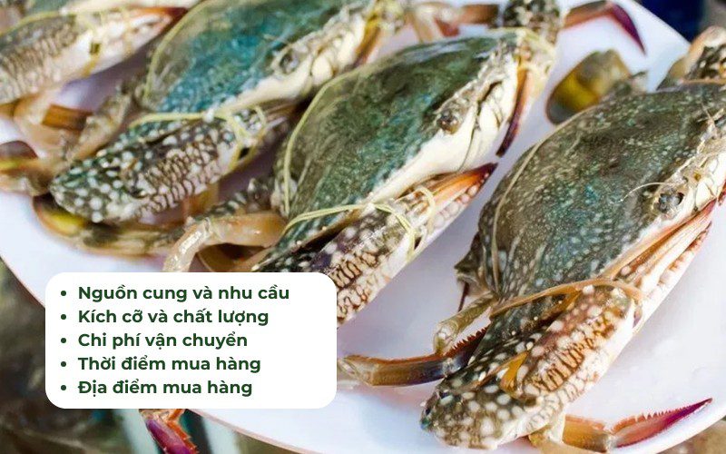 Những yếu tố ảnh hưởng đến giá ghẹ