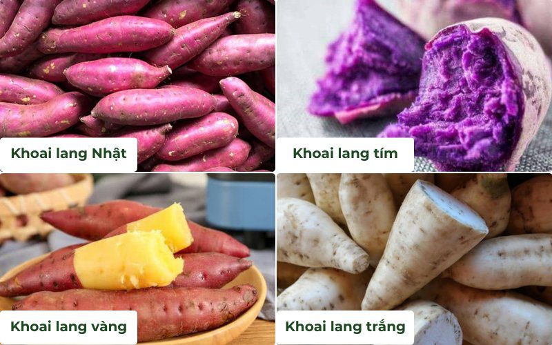Trên thị trường có nhiều loại khoai lang