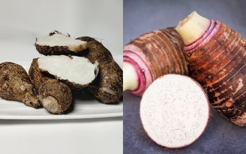 Mỗi loại khoai môn lại mang một đặc trưng riêng về hình dáng, màu sắc và hương vị