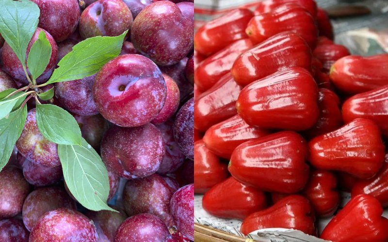 Hướng dẫn các mẹo nhỏ để chọn được quả mận tươi ngon