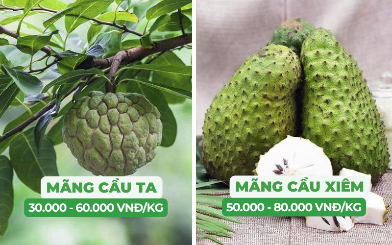 Mãng cầu xiêm và mãng cầu ta có mức giá khác nhau