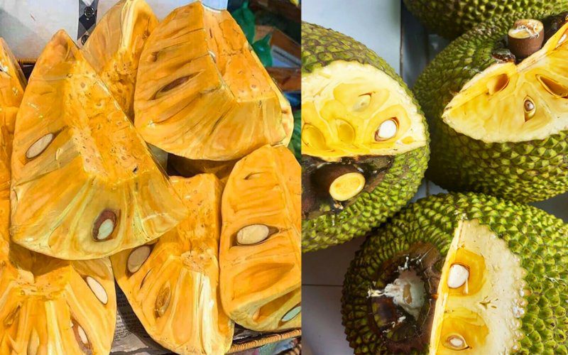 Mít Thái ngon và chất lượng mà bạn nên lựa chọn