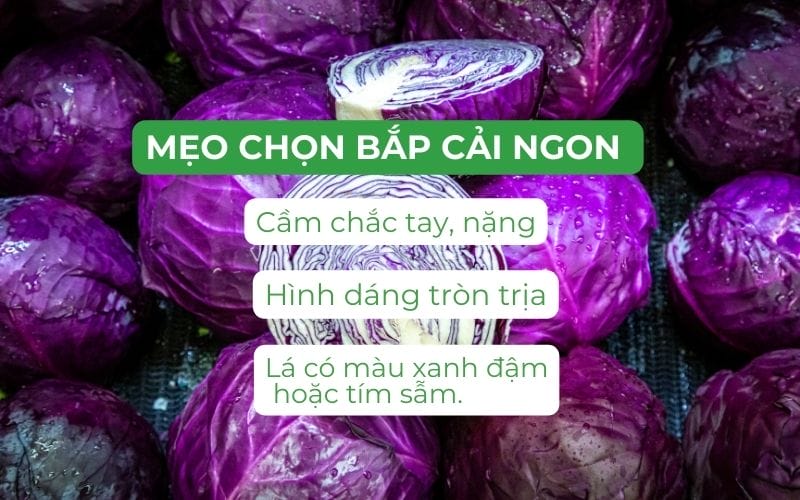 Bắp cải ngon khi cầm phải chắc tay, nặng, hình dáng tròn trịa, lá có màu xanh đậm hoặc tím sẫm