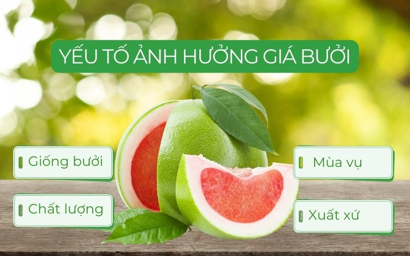 Giá bưởi có thể thay đổi phụ thuộc vào nhiều yếu tố