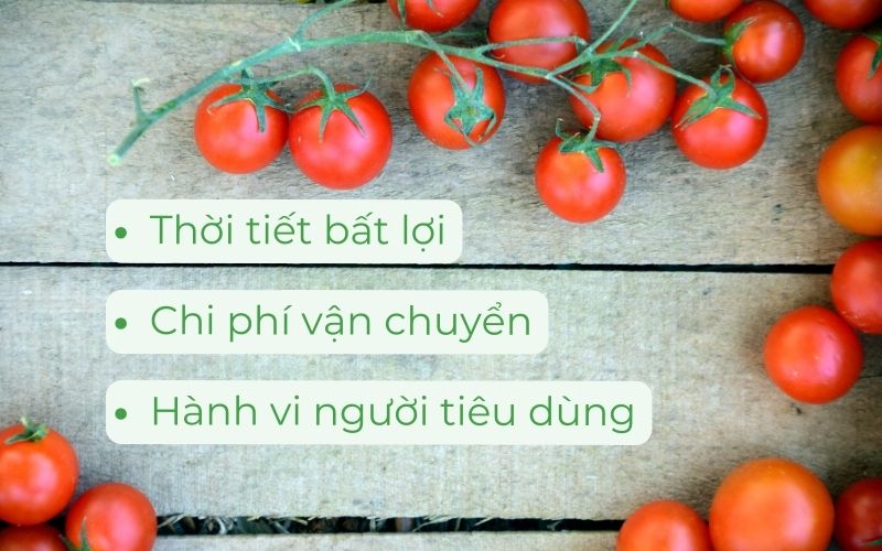 Giá cà chua tăng cao vì thời tiết, chi phí vận chuyển và hành vi người tiêu dùng
