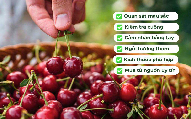 Bạn nên chọn những quả có màu sắc tươi sáng, căng mọng