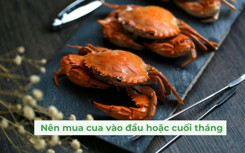 Nên mua cua biển vào thời điểm đầu hoặc cuối tháng