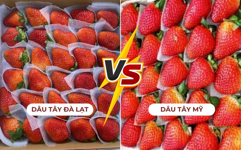 Giá dâu tây nhập khẩu thường có giá thành cao hơn dâu tây nội địa