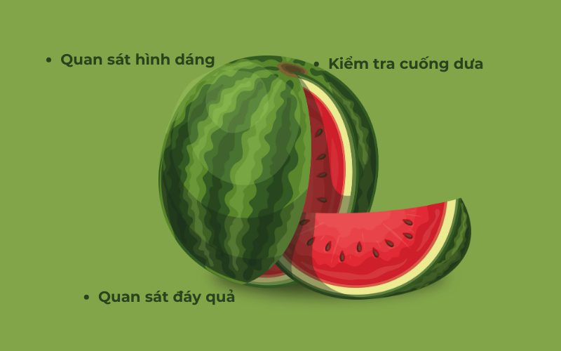 Bạn có thể quan sát bên ngoài để chọn dưa ngon, ngọt