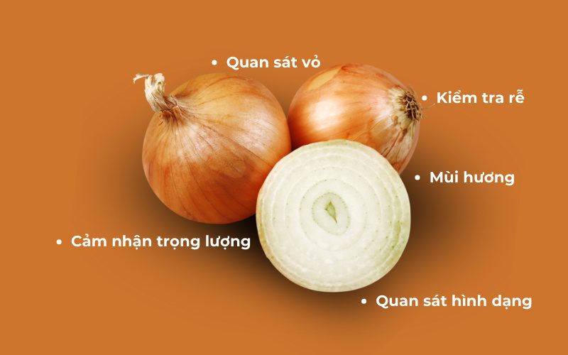 Bạn có thể quan sát bên ngoài để chọn củ hành ngon 