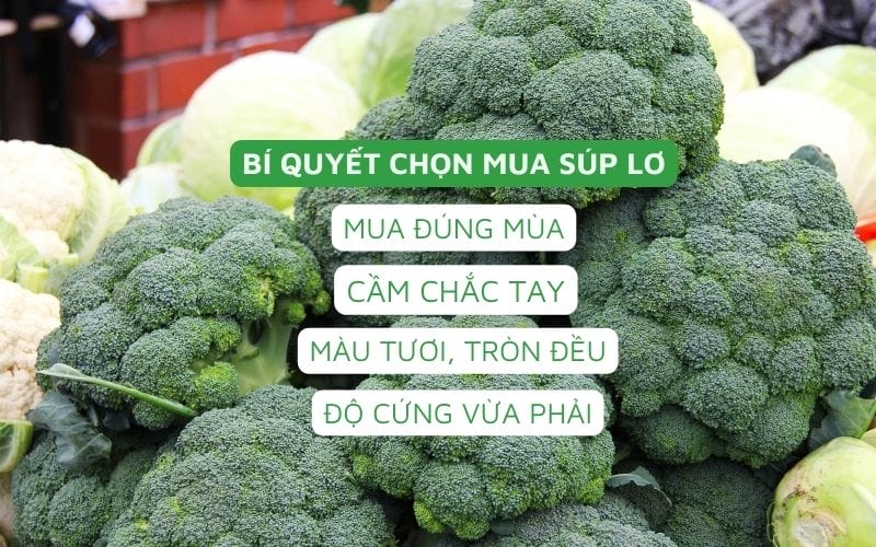 Bí quyết chọn súp lơ ngon: Mua đúng mùa, màu tươi, tròn đều, cầm chắc tay và độ cứng vừa phải