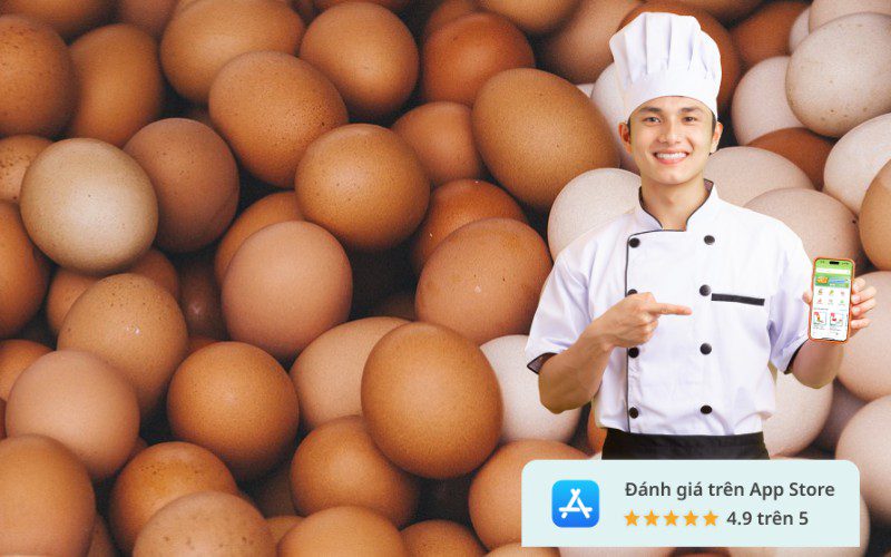 Kamereo là đơn vị cung cấp trứng gà chất lượng cho các doanh nghiệp F&B