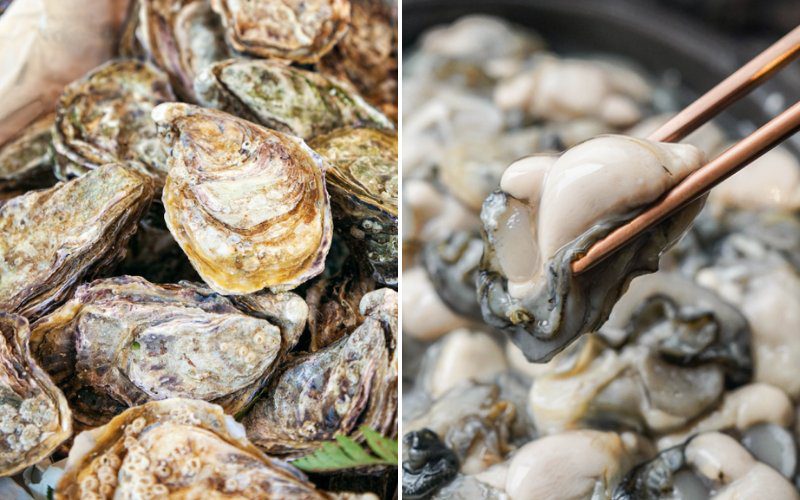 Nên chọn hàu có vỏ cứng, thịt căng mọng, màu sữa, không có mùi hôi lạ