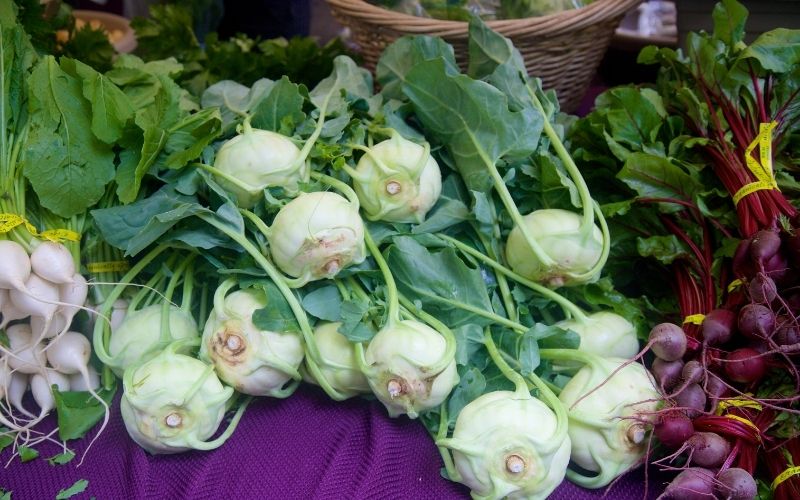 Su hào tươi ngon: củ chắc nặng, không thâm dập, cuống lá dính chặt