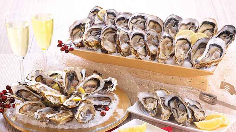 Dinh dưỡng có trong hàu sữa Dinh dưỡng có trong hàu sữa