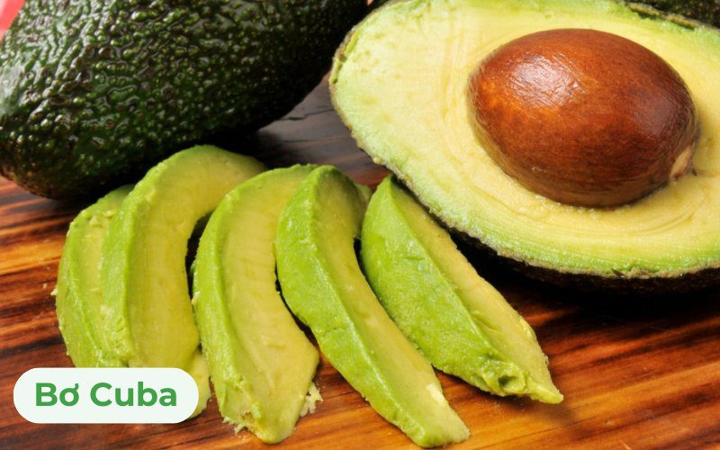Bơ Cuba có chất lượng đồng đều, ít bị sâu bệnh